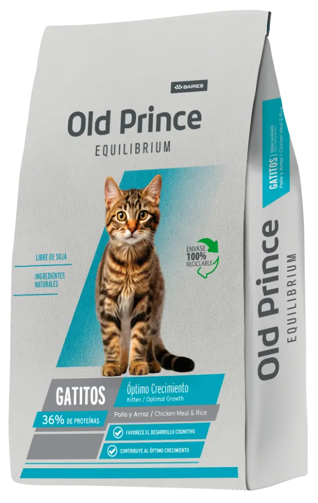 Old Prince Gato Kitten Equilibrium