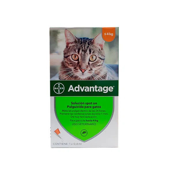 Pipeta Advantage Gato de 0 a 4 Kg