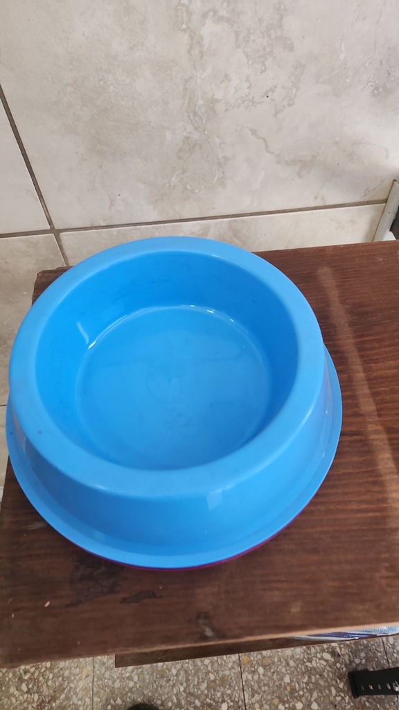 Comedero chico gatito plastico