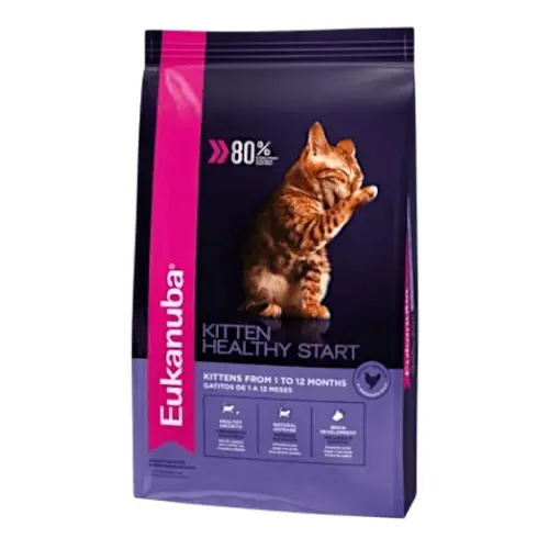 Eukanuba Gato Kitten