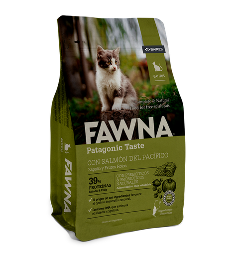 [1337] Fawna Gato Kitten
