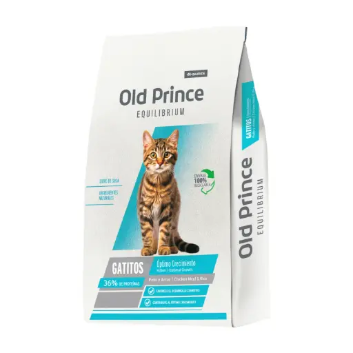 [1548] Old Prince Gato Kitten Equilibrium