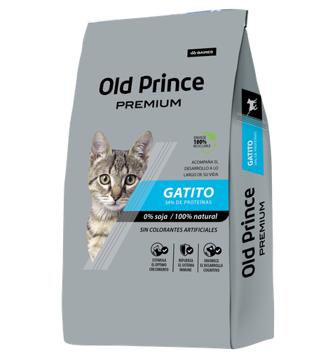 [1550] Old Prince Gato Kitten Premium