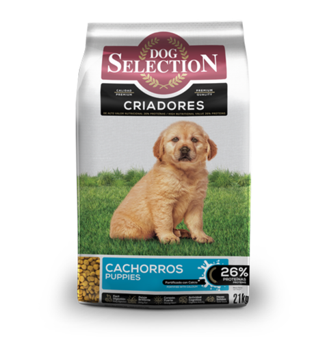 [1282] Dog Selection Perro Criadores cachorros 21 Kg