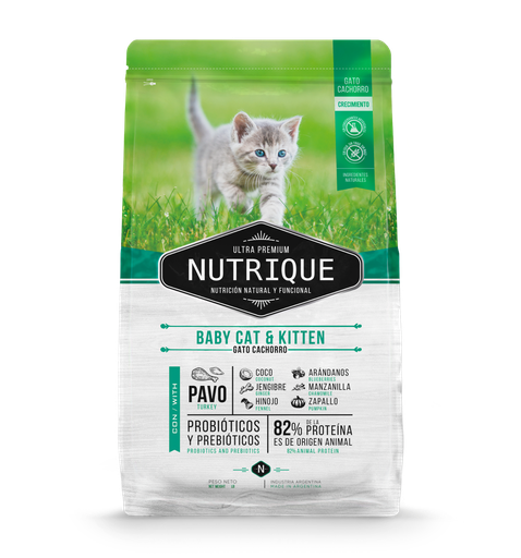 [1525] Nutrique Gato Baby Cat & Kitten