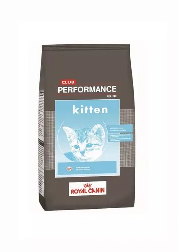 [1932] Royal Canin Gato Club Performance Kitten