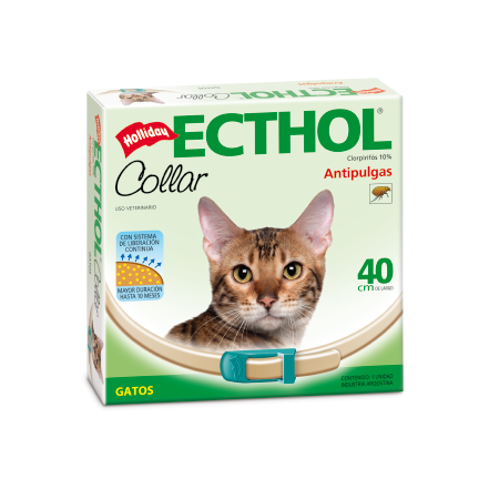 [1161] Collar Antipulga Gato Holliday