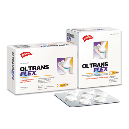 [1212] Comprimido Condroprotector Ol - Trans Flex Holliday 70 u