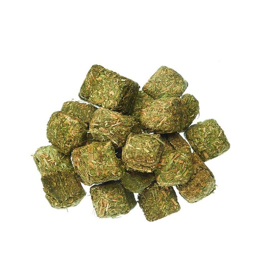 [1029] Alfalfa en Cubo 1 u
