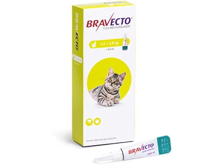 [1689] Pipeta Bravecto para Gato Pequeño 1,2 a 2,8 Kg