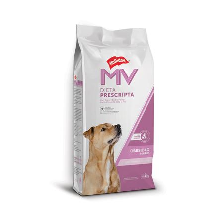 [1383] Holliday MV Perro Obesidad