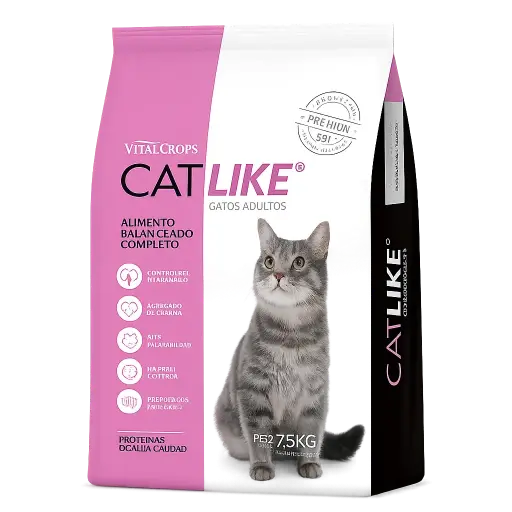 Catlike Gato Adulto